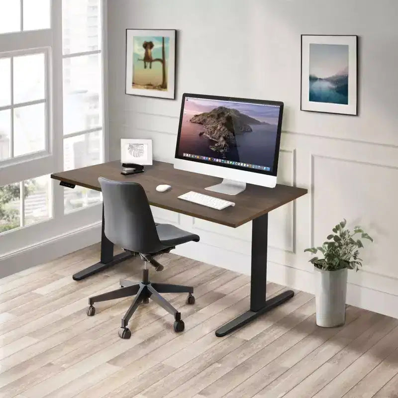 Dual Motor Electric Standing Desk with 55" Tabletop, Black