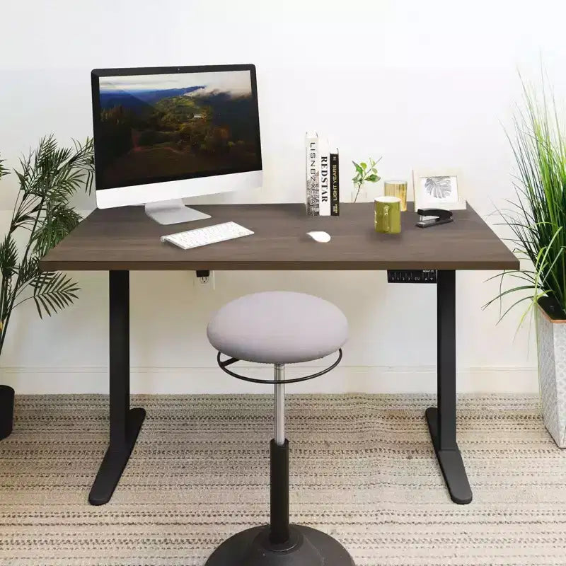 Dual Motor Electric Standing Desk with 55" Tabletop, Black
